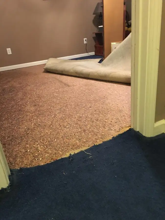 Carpet pad removal revealing water damage during Drying & Dehumidification in Forest Grove