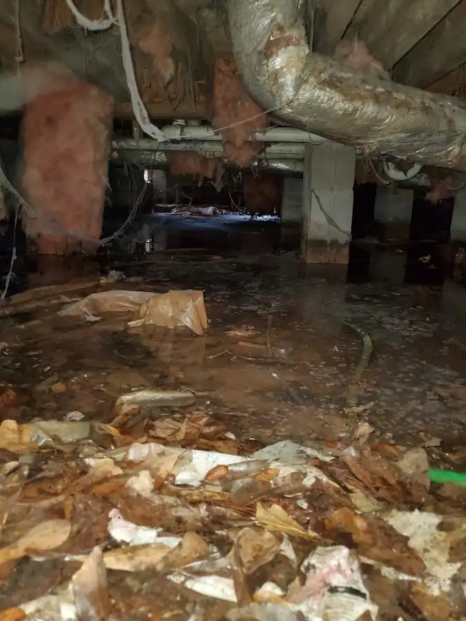 Crawl space flood assessment for Leak Detection & Repair in Forest Grove