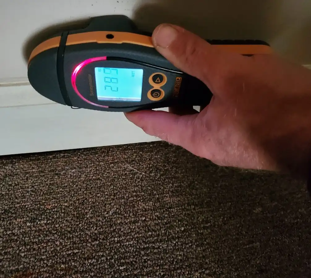 Moisture detection at baseboard during Burst Pipe Cleanup in Forest Grove