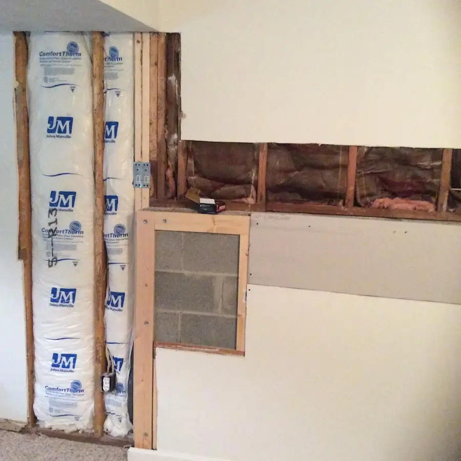 Wall insulation replacement during Odor Removal & Deodorization in Forest Grove